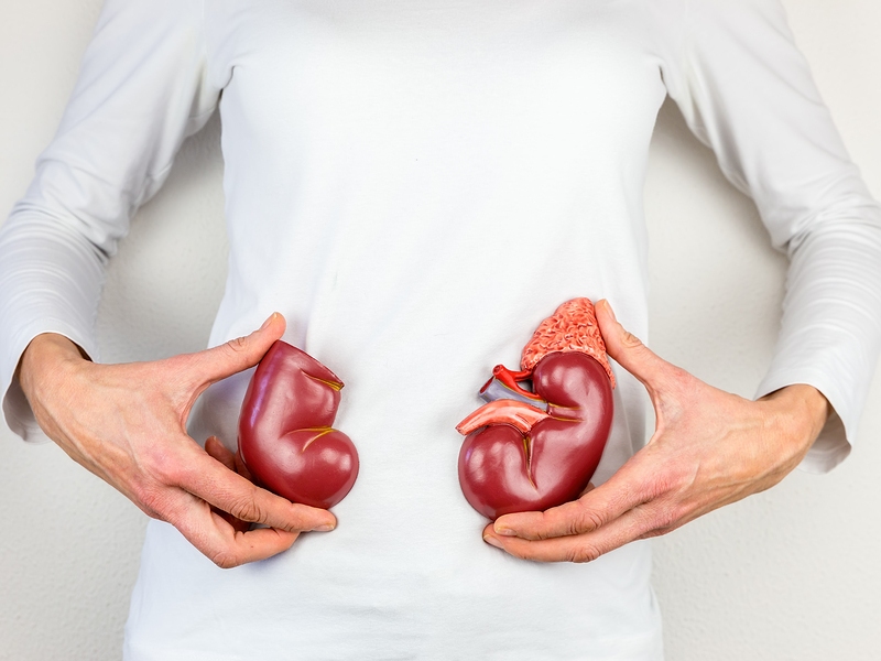 Five Ways to Protect Your Senior’s Kidneys Now